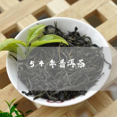 54年普洱茶/2023042770958