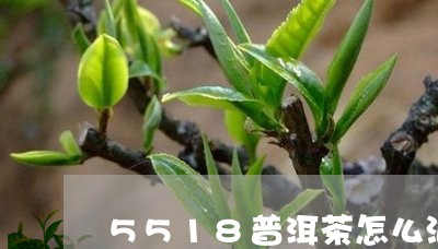 5518普洱茶怎么泡/2023080395938