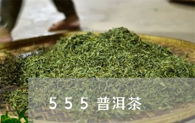 555普洱茶/2023042827265