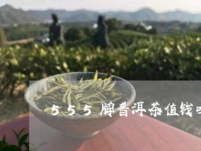 555牌普洱茶值钱吗/2023062804814