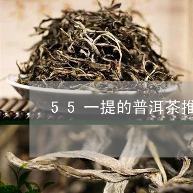 55一提的普洱茶推荐/2023092605137