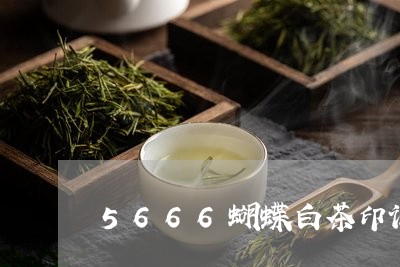 5666蝴蝶白茶印记/2023092797372