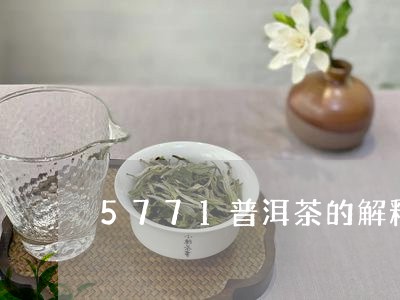 5771普洱茶的解释/2023062884038