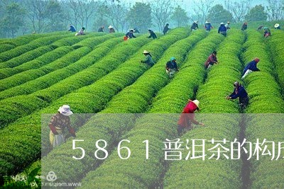 5861普洱茶的构成/2023080316060