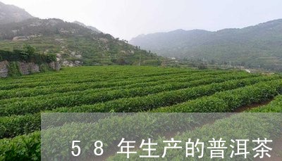 58年生产的普洱茶/2023042905606