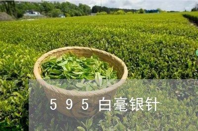 595白毫银针/2023112416272