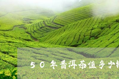 5O年普洱茶值多少钱/2023092604181