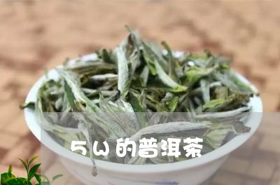 5W的普洱茶/2023090603928