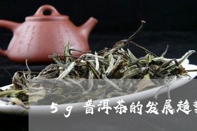 5g普洱茶的发展趋势/2023092686147