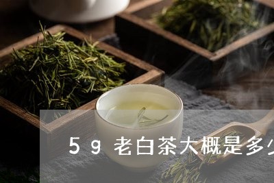 5g老白茶大概是多少/2023092761393