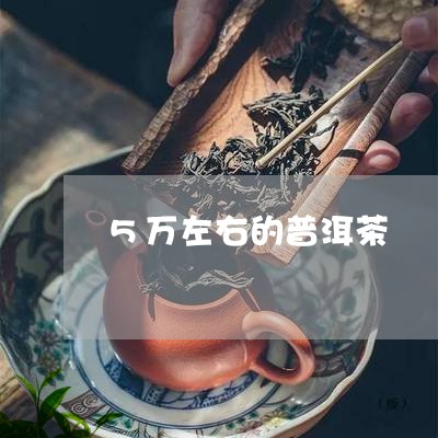 5万左右的普洱茶/2023120402706