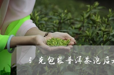 5克包装普洱茶泡后是碎末/2024010438248