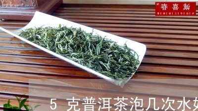 5克普洱茶泡几次水好喝/2023050473747