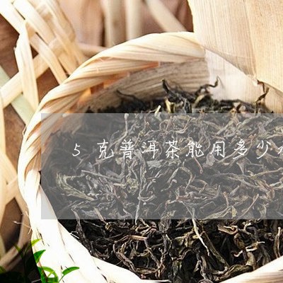 5克普洱茶能用多少水/2023061950503