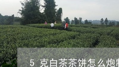 5克白茶茶饼怎么炮制/2023092772047