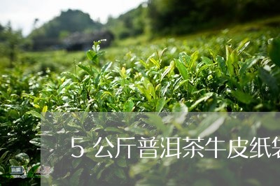 5公斤普洱茶牛皮纸袋/2023120677360