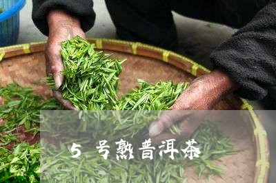 5号熟普洱茶/2023112606047