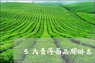 5大普洱茶品牌排名/2023110997361