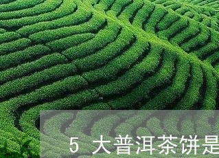 5大普洱茶饼是哪些/2023112572604