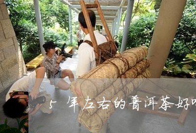 5年左右的普洱茶好喝/2023061732613