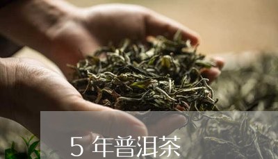 5年普洱茶/2023090677370