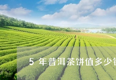 5年普洱茶饼值多少钱/2023092619426