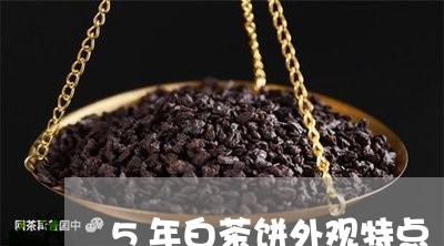 5年白茶饼外观特点/2023071457158