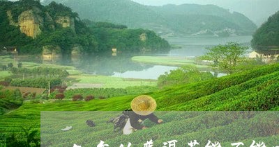 5年的普洱茶能不能喝/2023072157261