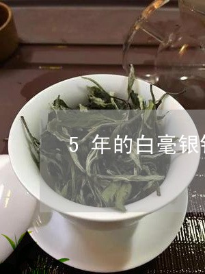 5年的白毫银针茶饼/2023120661604