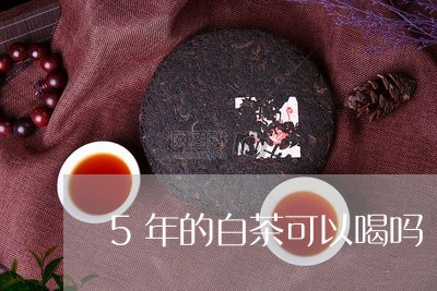 5年的白茶可以喝吗/2023121582707