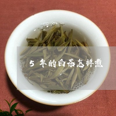 5年的白茶怎样煮/2023073163816