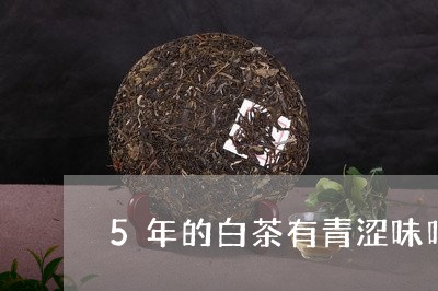 5年的白茶有青涩味吗/2023092771725