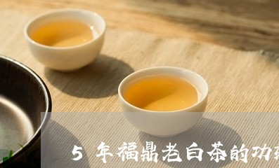 5年福鼎老白茶的功效/2023091518182