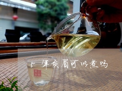 5年贡眉可以煮吗/2023090971748