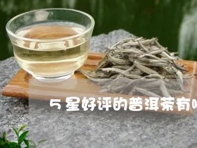 5星好评的普洱茶有哪些/2023102480513