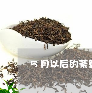 5月以后的茶算什么茶/2023071320482