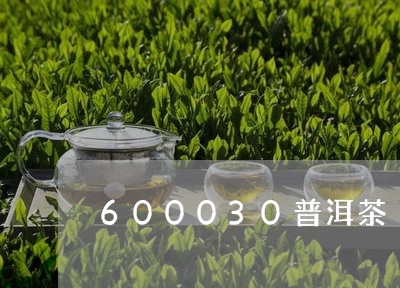 600030普洱茶/2023091515149