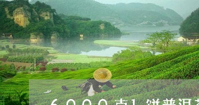 6000克1饼普洱茶/2023100627280