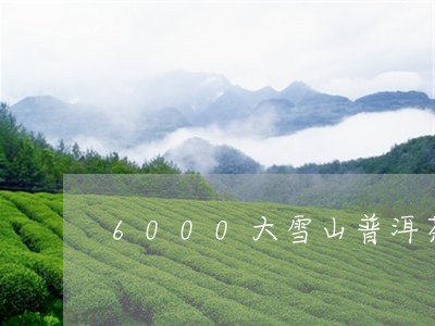 6000大雪山普洱茶/2023062475927