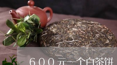 600元一个白茶饼/2023121520695