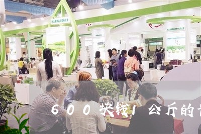 600块钱1公斤的普洱茶/2023051306182