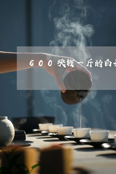 600块钱一斤的白茶是什么茶/2023111421702