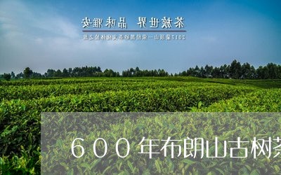 600年布朗山古树茶/2023071683625