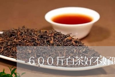 600斤白茶好不好喝/2023092745062