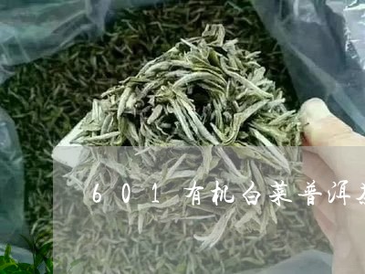 601有机白菜普洱茶/2023062861726