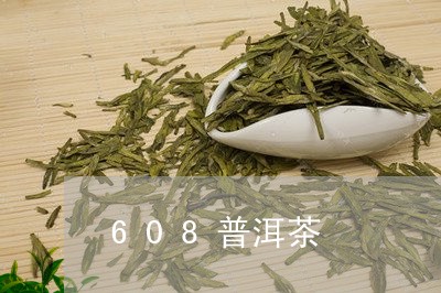 608普洱茶/2023042841704