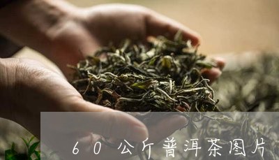 60公斤普洱茶图片/2023071197139