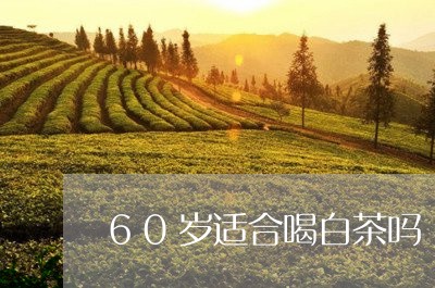 60岁适合喝白茶吗/2023071452615