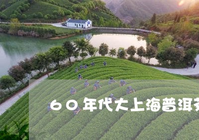 60年代大上海普洱茶/2023062805816