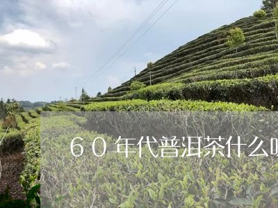 60年代普洱茶什么味/2023072272614